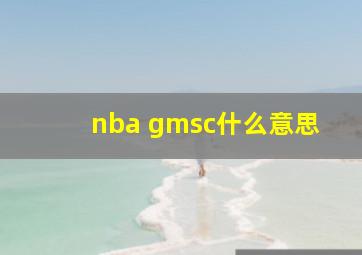 nba gmsc什么意思